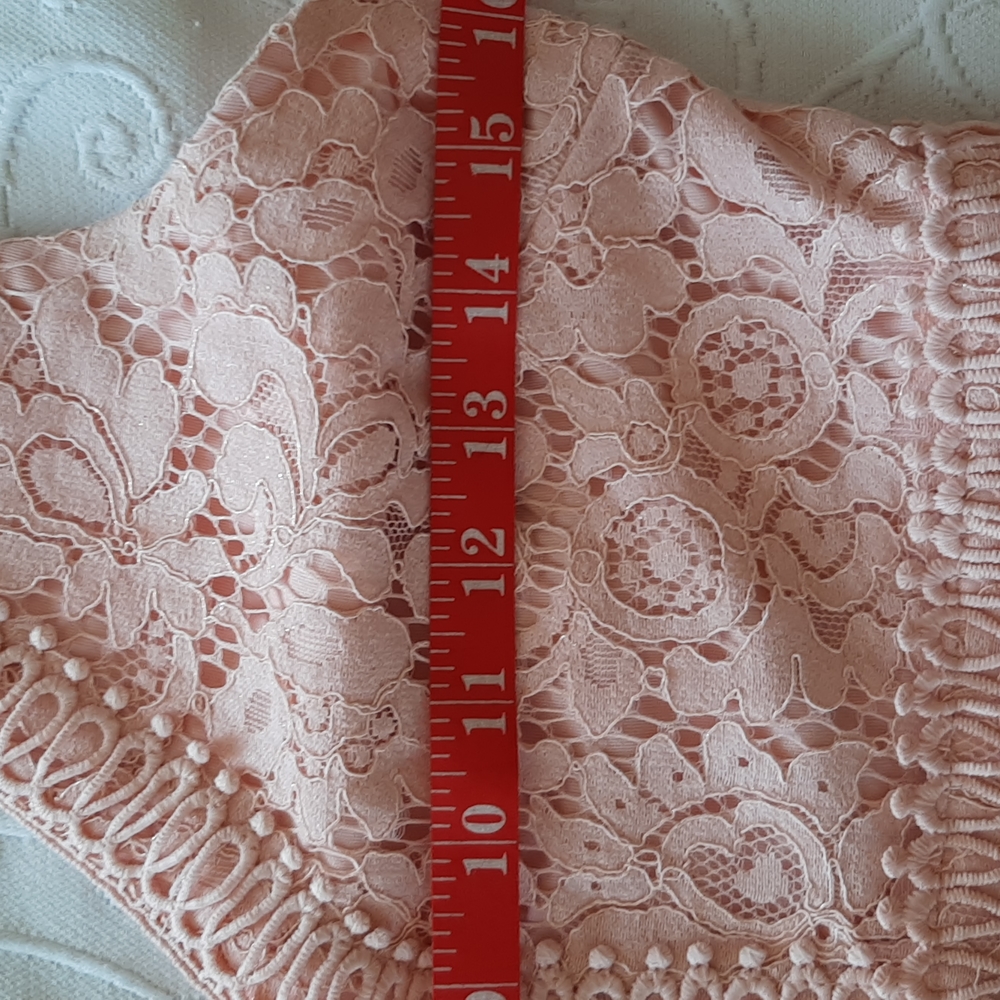 Francescas Closet Dusty Pink Lace Mini - Picture 4 of 9